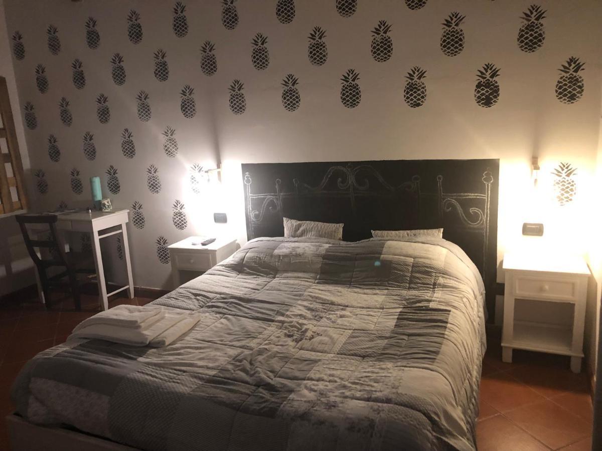 B&B Ocagiuliva Riparbella Extérieur photo