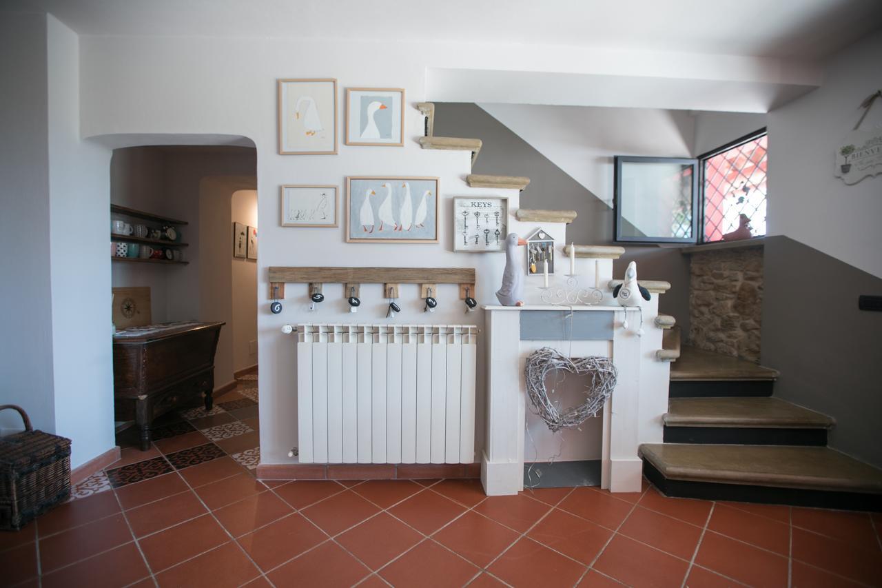B&B Ocagiuliva Riparbella Extérieur photo